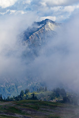 mountain peak rising up over clouds and fog with forest down below