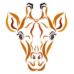 Giraffe head with beautiful eyes, brown pattern