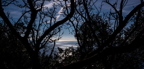 Naklejka premium sea view