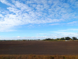 Fototapeta premium field and blue sky