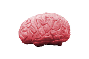 Red brain thought on a white background