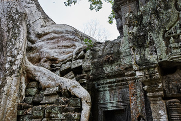 Ta Prohm historic site in Cambodia.