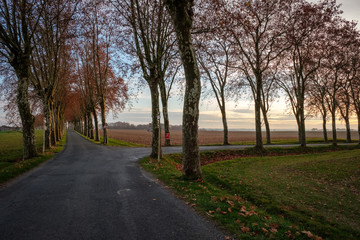 Fototapeta na wymiar Croisement de routes de campagne, platanes, champs vides, automne, Tarn, France