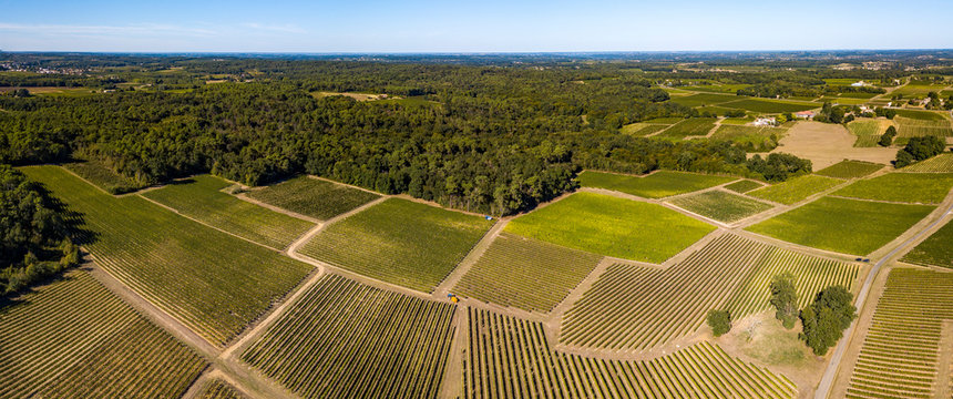 Grape harvesting machine, Aerial view of Wine country harvesting grape with harvester machine, drone view of bordeaux vineyards landscape, France