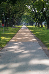 Stotsenburg Park in Clark Freeport, Mabalacat, Pampanga, the Philippines
