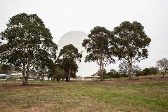 Csiro Images – Browse 61 Stock Photos, Vectors, and Video | Adobe Stock
