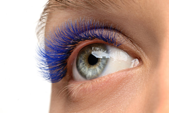 Blue eyelashes, eye close-up. Eyelash extensions
