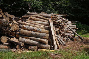 Pile stack of wood logs in forest deforestation logging