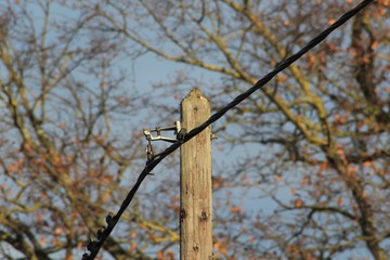 PYLONE ELECTRIQUE EN BOIS