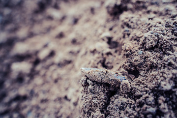 Closeup View of the Shot Bullet with Ballistic Marks in Sands