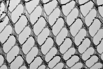 Net black and white structures
