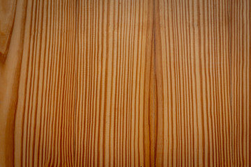 Texture of wood background closeup