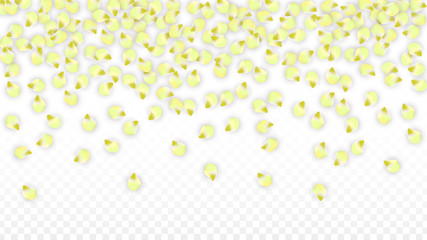 Vector Realistic Pink Petals Falling on Transparent Background.  Spring Romantic Flowers Illustration. Flying Petals. Sakura Spa Design. Blossom Confetti.