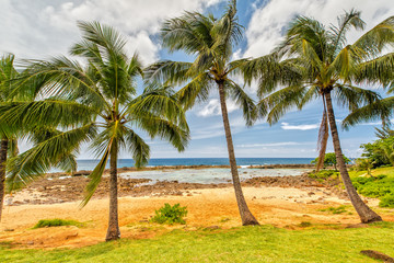 Fototapeta na wymiar Beautiful Beach in Oahu