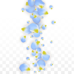 Vector Realistic Blue Petals Falling on Transparent Background.  Spring Romantic Flowers Illustration. Flying Petals. Sakura Spa Design. Blossom Confetti.