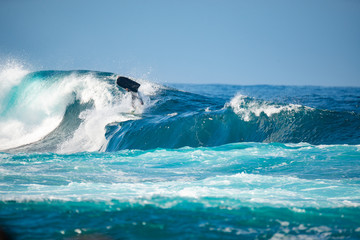 surfer in action on a big wave, lanzarote