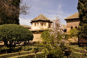 Fototapeta na wymiar Park in Alhambra palace