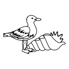 Fototapeta na wymiar seagull with seashell