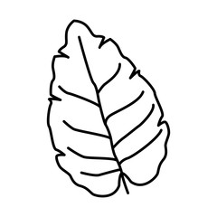 palm leaf icon