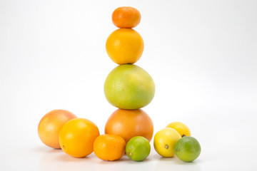 different citrus fruits on white background