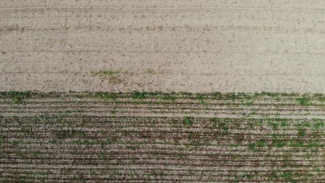 Aerial top down view. Crop agricultural fields. Rows of soil before planting, ploughed field, spring or autumn season landscape. Nature background, farm pattern