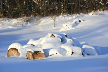 wooden logs under snow on meadow