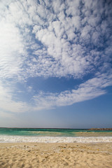 The sandy beaches of the UAE