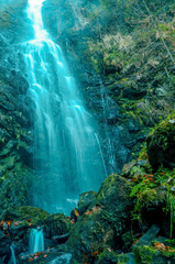 Fototapeta na wymiar Beautiful waterfall in the forest inside the Gorbea natural park, Belaustegi. Basque Country, Spain
