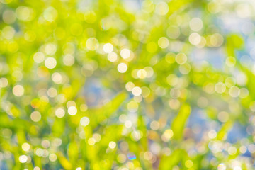 Texture from the bokeh on a light background in green spring colors. Preparation for design_