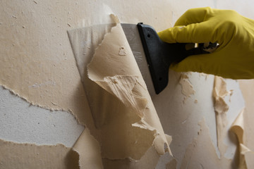 Cleaning the wall from old wallpaper - obrazy, fototapety, plakaty