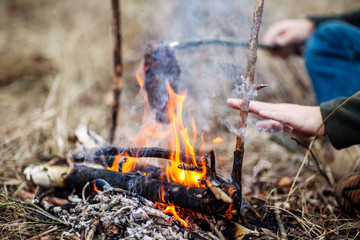 meat on the stick grilled in the fire. bushcraft concept