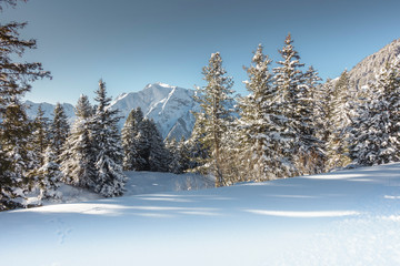 Winterlandschaft mit verschneitem Wald in den Bergen