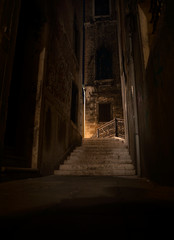 Fototapeta na wymiar Venice in Italy by night