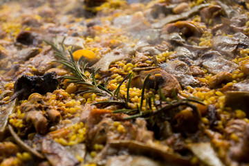 Spanish Paella Preparation Ingredients