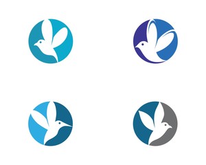 Hummingbird vector icon
