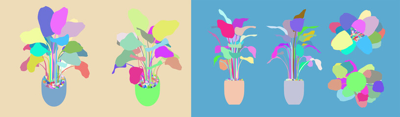Colored isometric home plants isolated black background. Top front below parallel projection