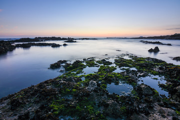 Golden magic sunset on a rocky beach with green moss in Porto. Portugal. Europe