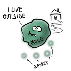 Mold lives outside