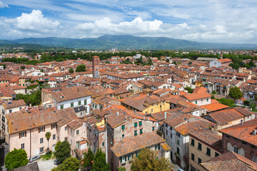 Fototapeta na wymiar Blick über die Dächer von Lucca vom Turm Guinigi