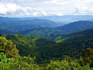 A beautiful wave landscape of green mountain which show the beauty of nature of Doi Phu Ka in Nan, Thailand