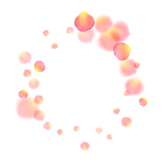 Rose gold petals flying cosmetics vector background.