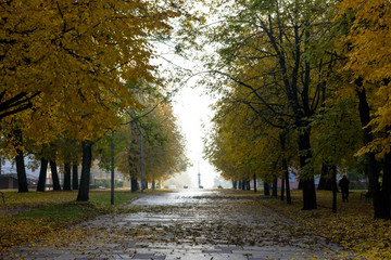autumn in the park 1
