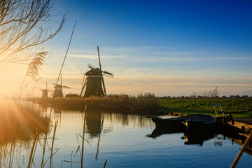 typical Dutch windmills in a row just after sunrise