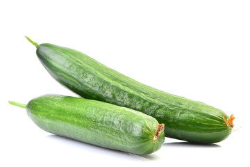Cucumber on white background
