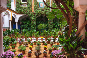 Típico patio andaluz lleno de flores y plantas