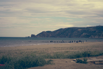 The incredible seascaping view of beach with blue sea in morocco in summer