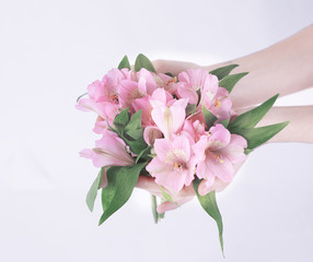 bouquet of flowers in female hands isolated on a light backgrou