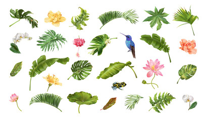 Tropical realistic plants animals and flowers set - 238919533
