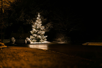 Glowing christmas tree with light string