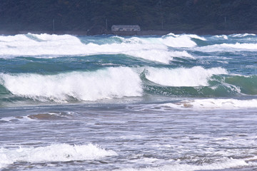 浅利海岸